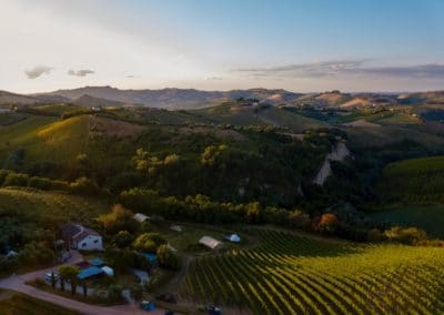 Agriturismo Fortuna Verde hidden between vineyards