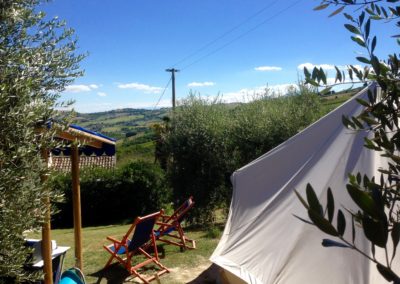 Camping in the olive groves and vineyards Italy